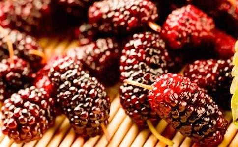 采桑葚的快樂(lè)小學(xué)作文