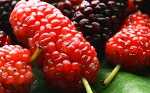 ����ζ��ɣ������