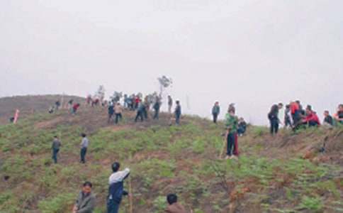 ��Ĺ���ąR����ƪ