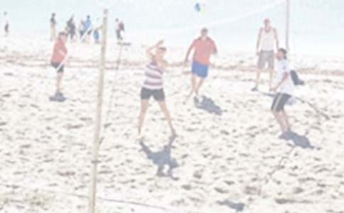 沙灘排球賽小學(xué)作文