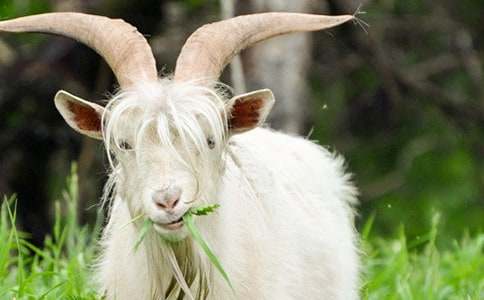 �ɐ۵�ɽ������4ƪ