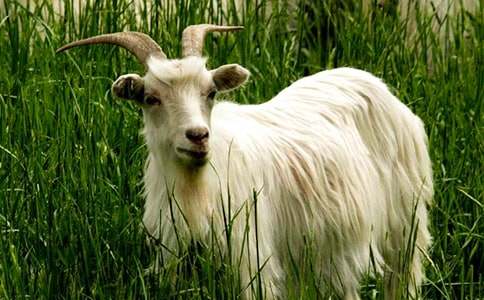 �����x��ɽ�����ľ�ƪ