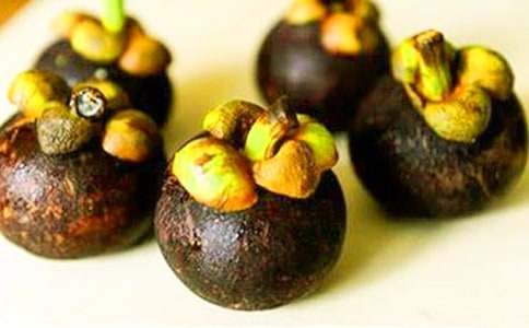 游南山竹海-游記作文600字