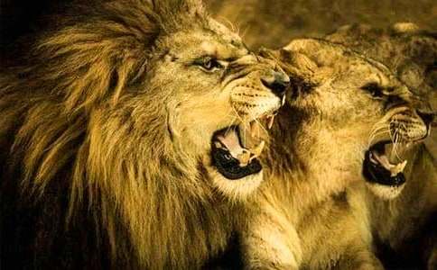 �{�Ӻϳ��F(tu��n)������������۵��ˡ����~