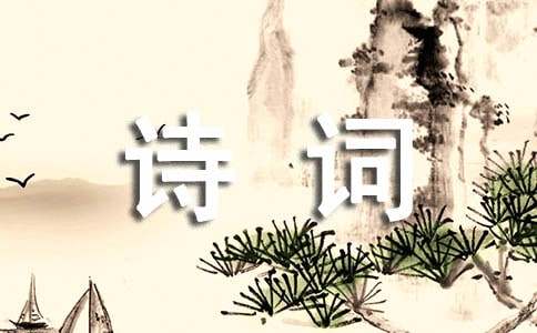 邂逅《中國(guó)詩詞大會(huì)》作文