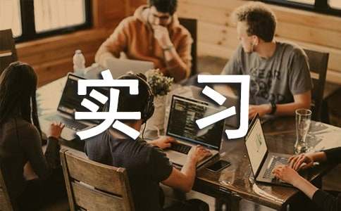 寒假去實習作文800字