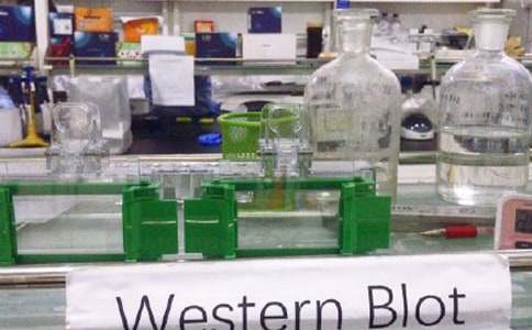 ��(sh��)�(y��n)�����ﰲȫ�����Բ��(b��o)��