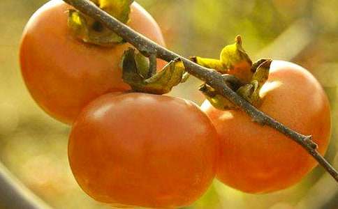 �Ґۼ��l(xi��ng)�����ӌ�������