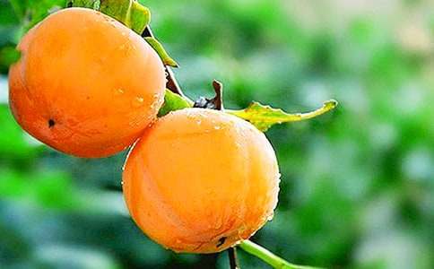 ��ϵ���Ә�����800��