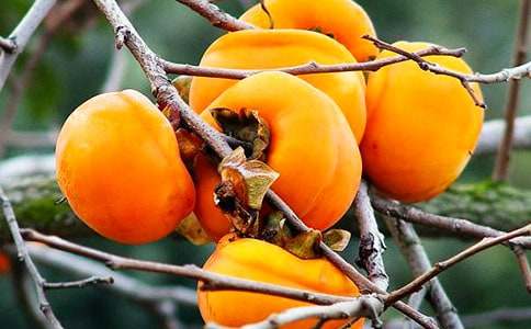 ���Ә�_750��