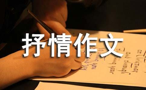 ���������ϵ���������