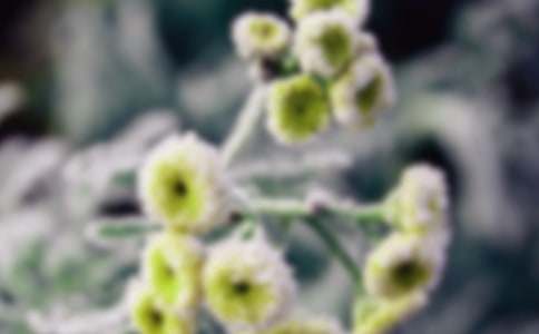 ���f��˪��ɢ��