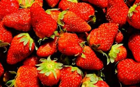 �óԵ�ˮ����֦����