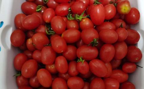 ������۵�ˮ������