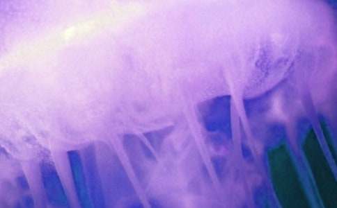 ����Ʒ��ˮĸ����300����ƪ