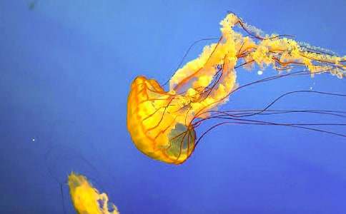 ˮĸС�W(xu��)����300��