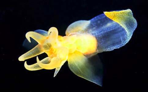 ˮĸ����400�־�ƪ