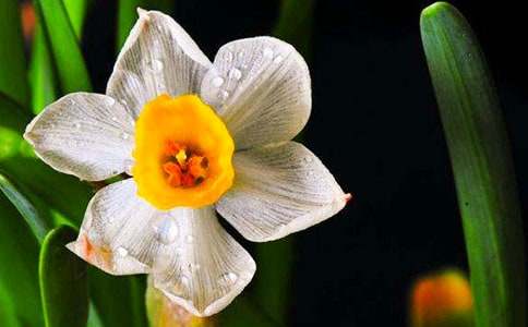 �Ҽҵ�ˮ��С��С�W(xu��)����