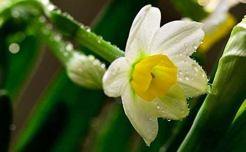 ˮ�ɵ�����600��