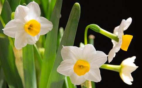 ˮ��_����ӛ����