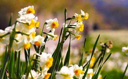 ������ˮ�ɻ�������