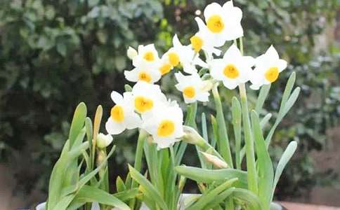 ������ˮ�ɻ����ģ����x39ƪ��