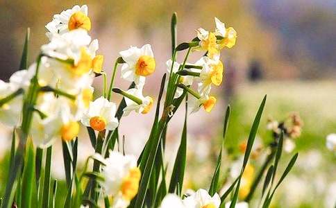 ˮ�ɻ������ģ����x124ƪ��