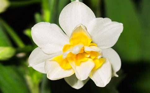 ������ˮ�ɻ����ģ�ͨ��39ƪ��