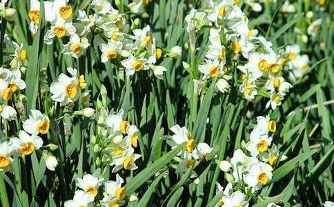 �P(gu��n)��ˮ�ɻ�������500��3ƪ