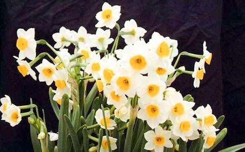 ������ˮ�ɻ���������