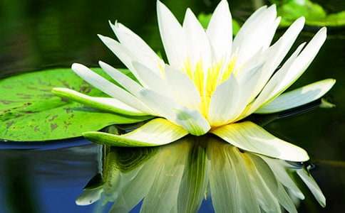 ˯ɏ����400����ƪ