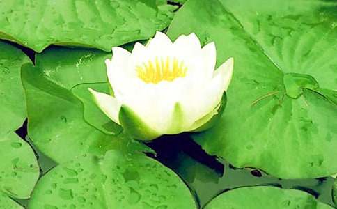 �¹��µ�˯ɏ����