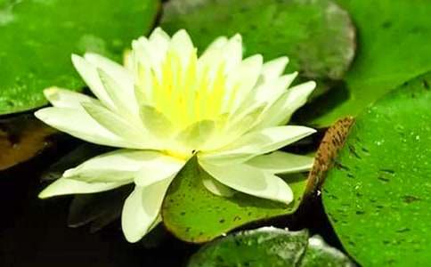 ������˯ɏ����