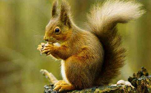 ���xС����С�W(xu��)������ƪ