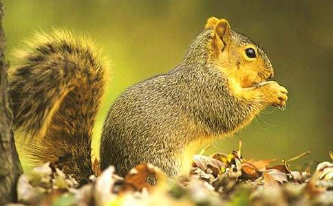 С���ú�С����Ĺ��µ����ģ����x12ƪ��