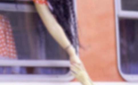 �P���̈́e�ְֵ�����