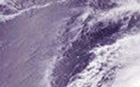 廈門莫蘭蒂臺(tái)風(fēng)的作文