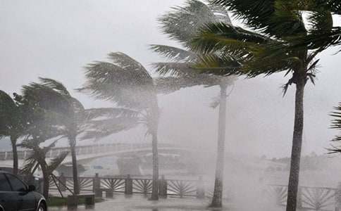 �B�T�_�L(f��ng)Ī�m�����ģ����x15ƪ��