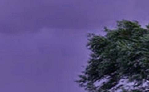 關(guān)于臺風來襲的作文