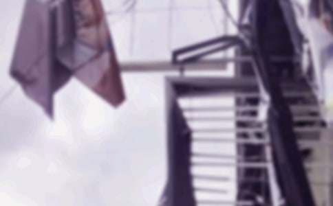 刮臺風小學生作文