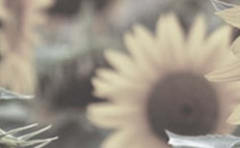 ̫ꖻ�����΢Ц����550��