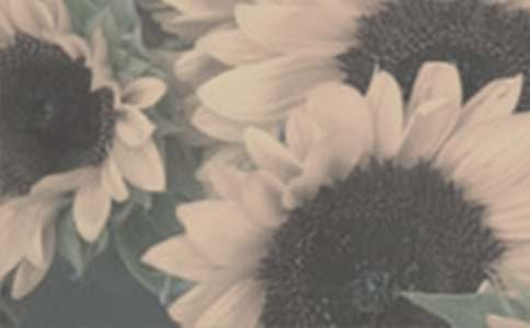 ��������ϲ�g̫�(y��ng)������