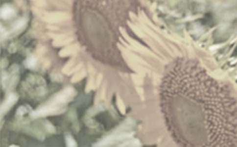 �����˵�̫ꖻ�����400��