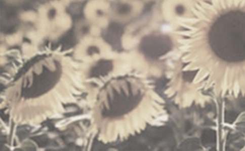 �茑̫�(y��ng)�������ģ����x31ƪ��