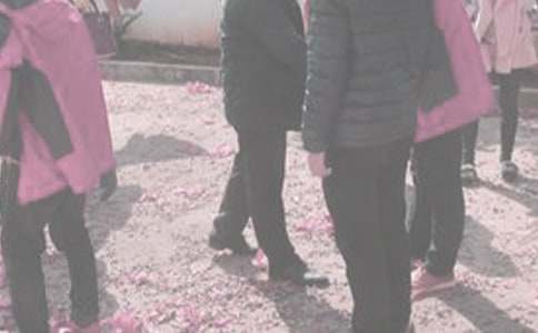 ����̽�H����֮������c����ɢ��