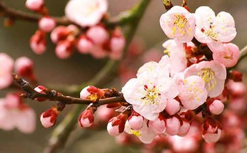 ���ڵ��һ����꼉����