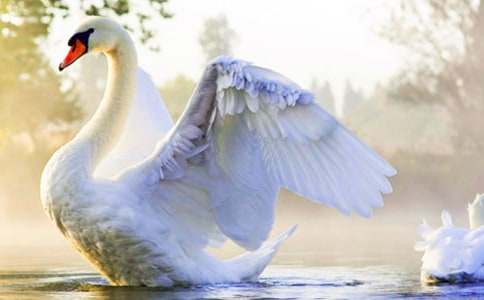 ���������Z������(20ƪ)