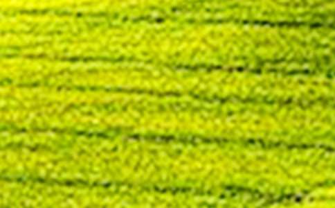 藏在田野里的精彩作文