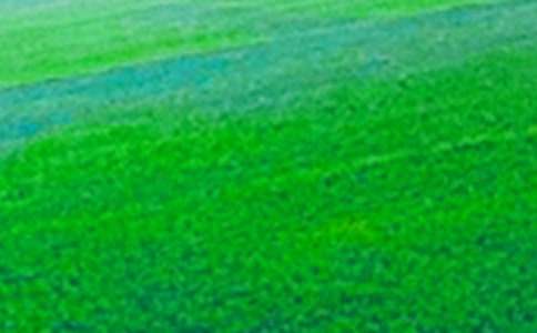 ��Ұ���ļ�����7ƪ