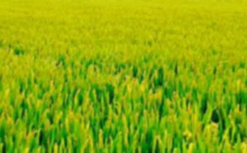 ���]����Ұ�L������